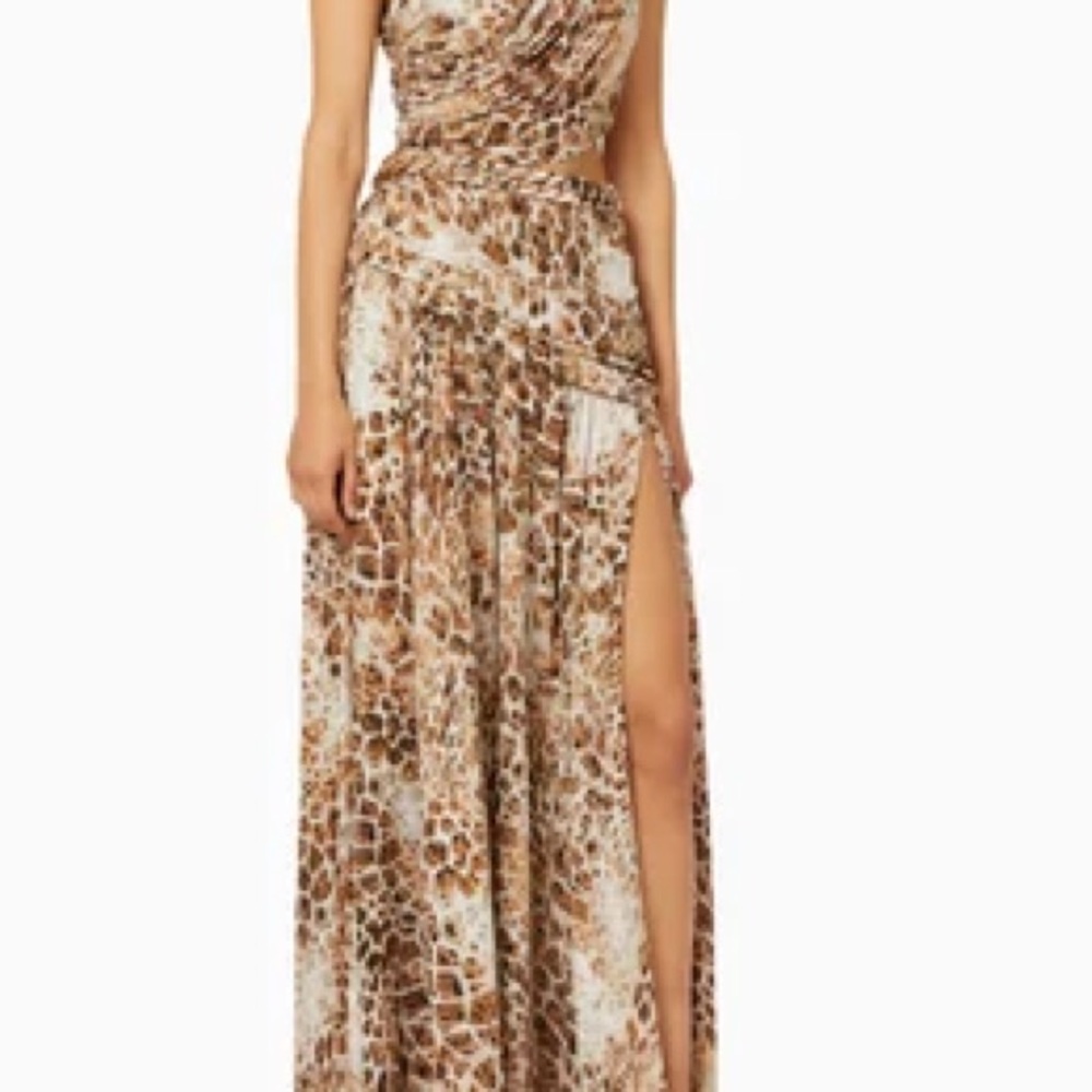 Bronx & Banco Jafari Printed Silk-Blend Gown, XS